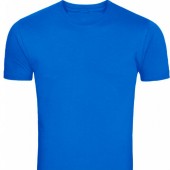 Tshirts. plain blue